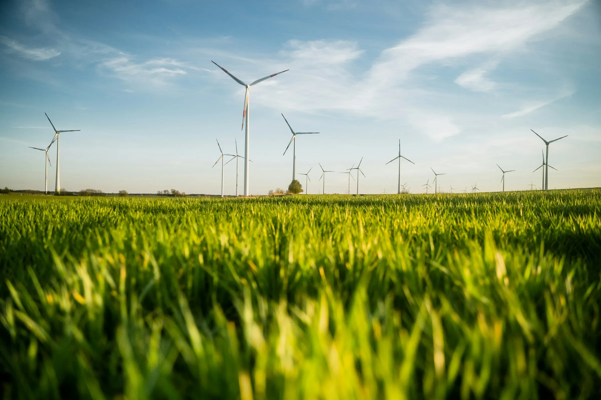 Wind turbines beyond a green field