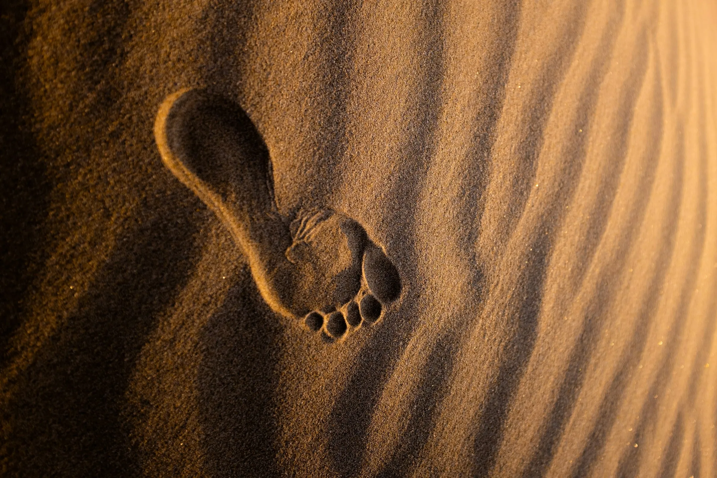 Footprint in rippled desert sand