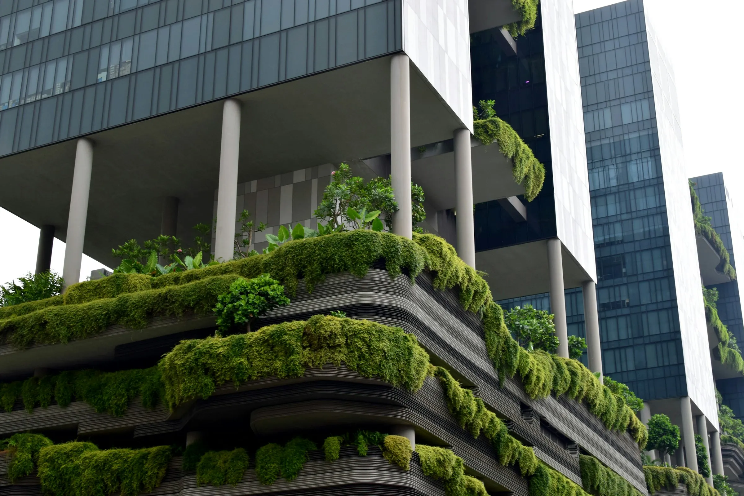Modern building with terraces covered in greenery