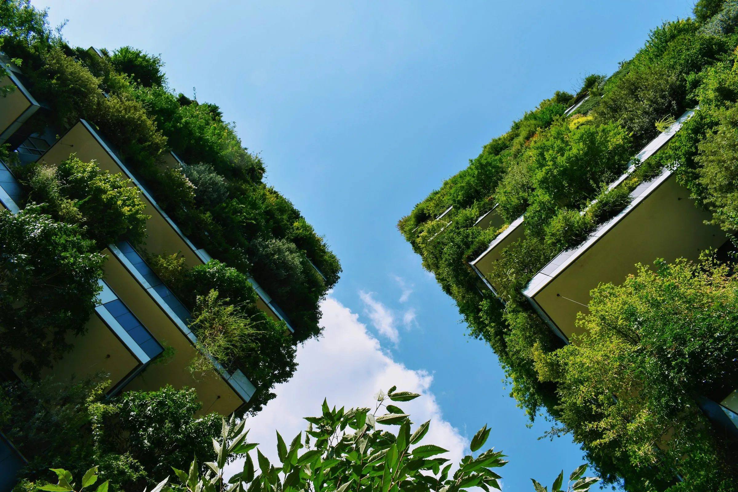 Tower covered in trees seen from below against a blue sky