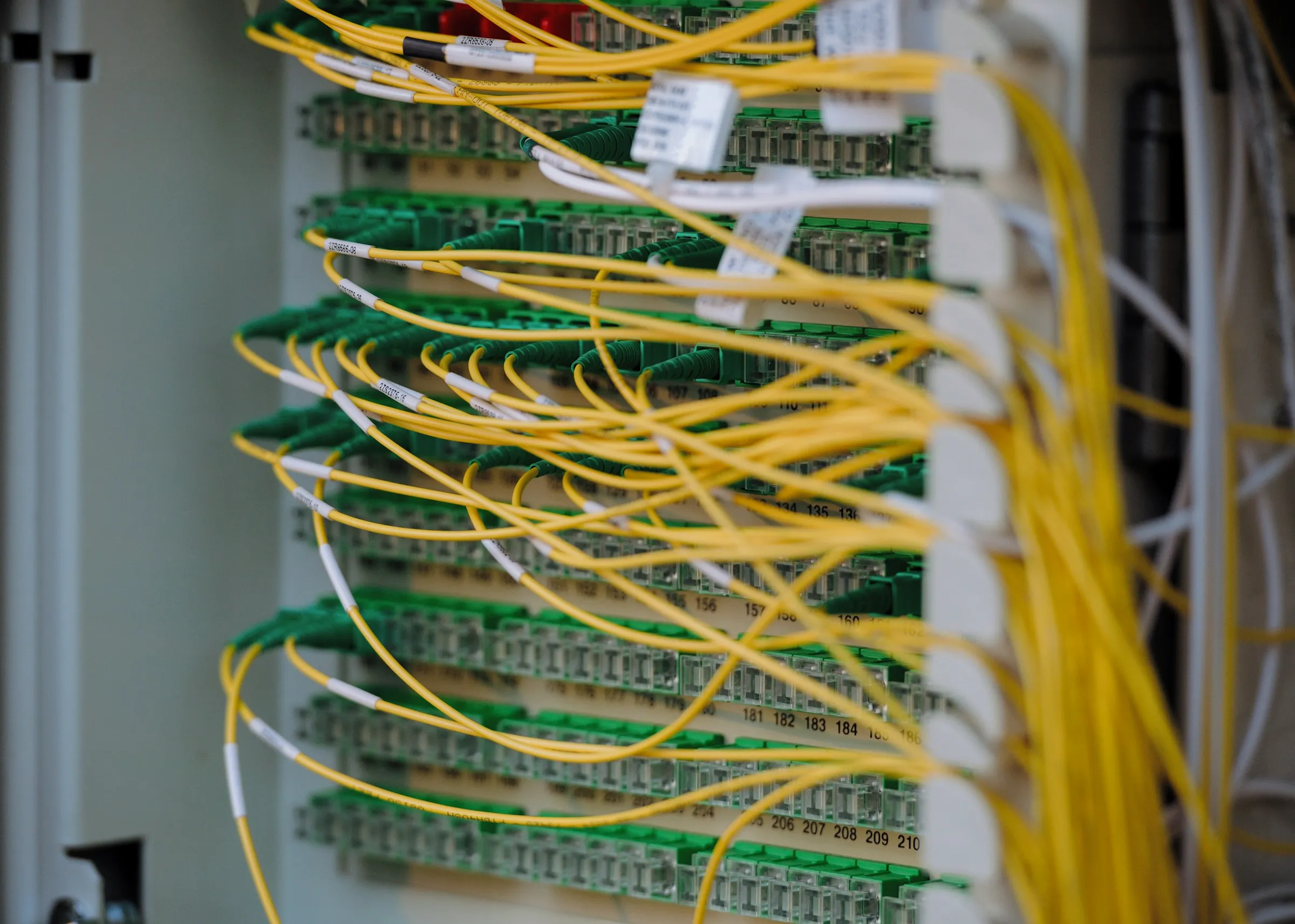 Fibre-optic cables in a network patch panel